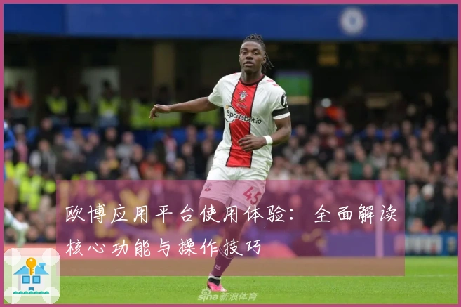 欧博应用平台使用体验：全面解读核心功能与操作技巧